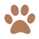 paw-resized paw